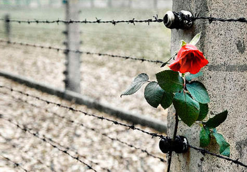 Il Giorno della Memoria a Milano per ricordare la Shoah