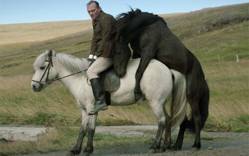 Of Horses and Men, in anteprima a Milano