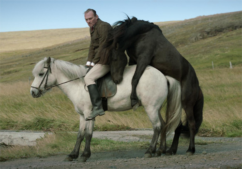 Of Horses and Men, in anteprima a Milano