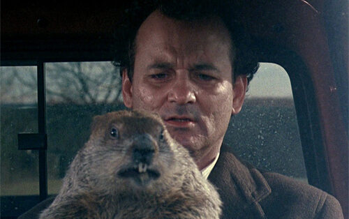 bill murray