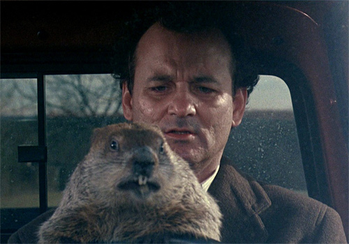 bill murray