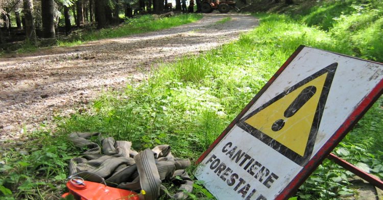 cantiere forestale