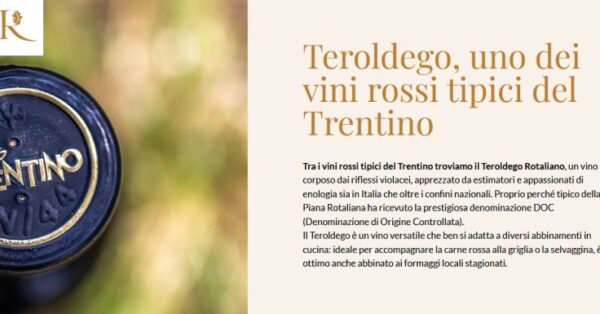 Vini rossi trentini: quali provare assolutamente?
