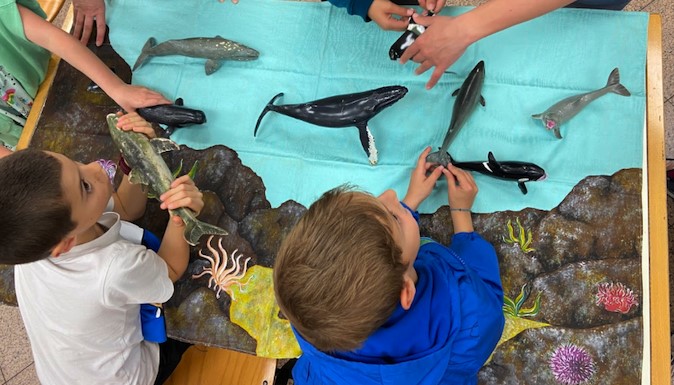 VISTAMARE, il festival per le famiglie che porta il mare a Milano