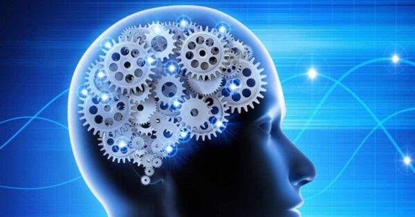 Onde alfa cerebrali e fiducia nelle nostre decisioni