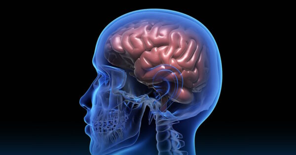 Summer brain fog: effetti del caldo su mente e concentrazione