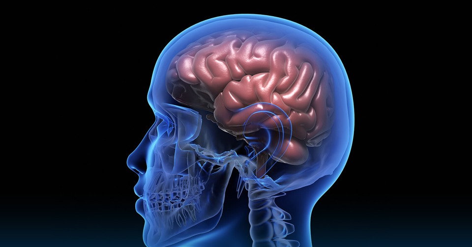Summer brain fog: effetti del caldo su mente e concentrazione