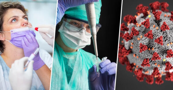 Hantavirus e trauma Covid: gestire l'ansia sanitaria