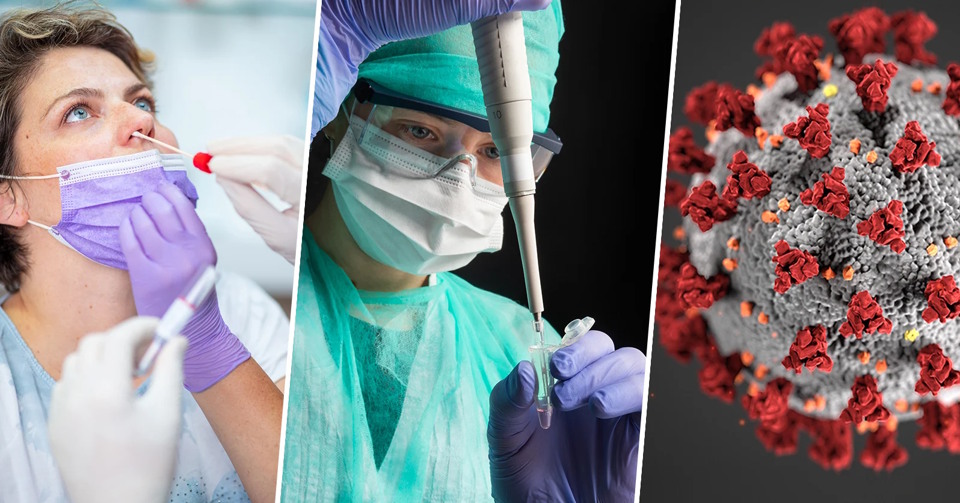 Hantavirus e trauma Covid: gestire l'ansia sanitaria